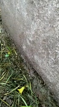 /2026-08-06 09-46/2434VID-20221119-WA0023.mp4