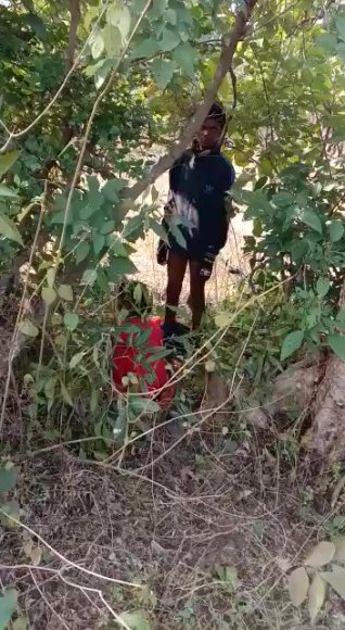 /2026-03-24 13-35/New Viral Video Search Telgram577627317&sxsrf 7889.mp4