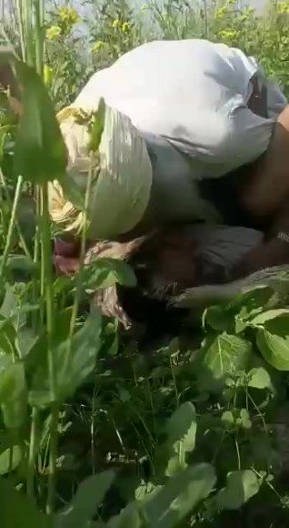 /2026-08-05 17-11/VID-20260623-WA0031.mp4