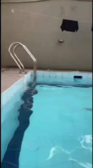 /1784299994620(2).mp4