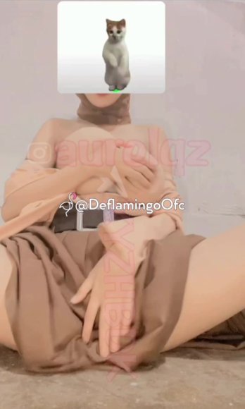 Terabox Download