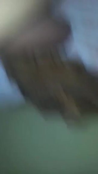/2026-08-06 18-55/VID-20200928-WA0049(TG-Bhat kanda official).mp4
